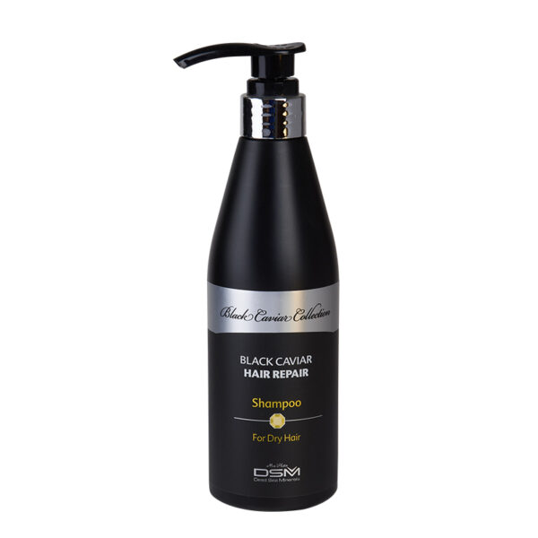 Hair repair shampoo for dry hair black caviar